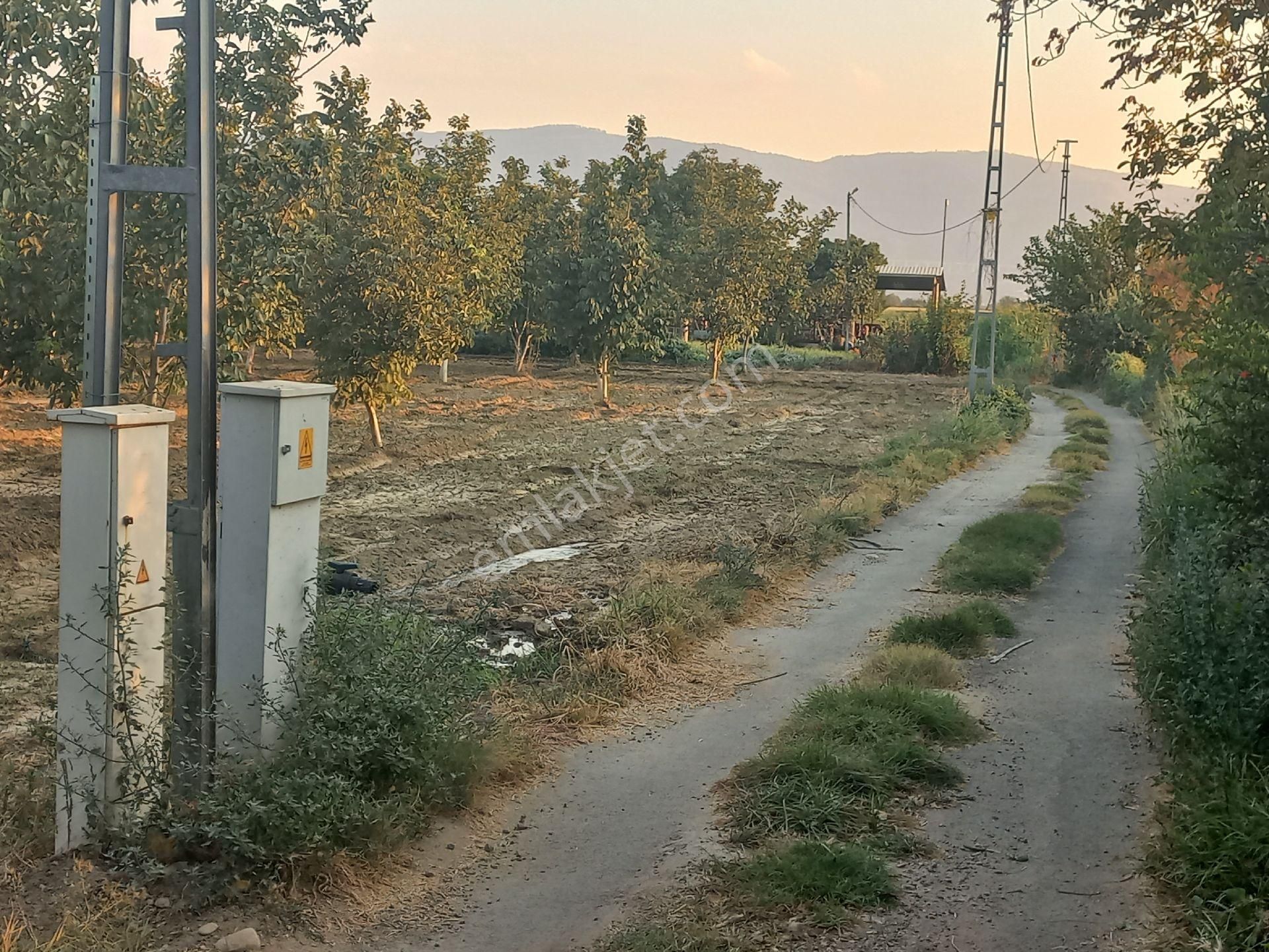 Sahibinden Yatırımlık Tarla - Görsel 18