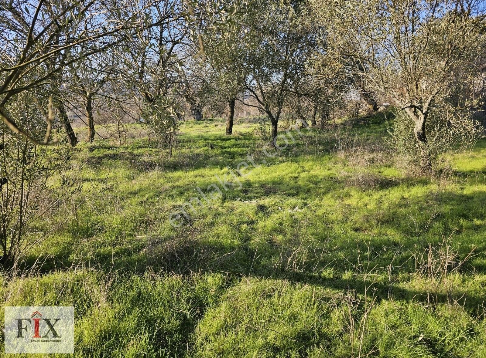 Yunusemre Ortaköy Satılık Konut İmarlı FİX'TEN YUNUSEMRE ORTAKÖYDE UYGUN FİYATLI SATILIK İMARLI ARSA