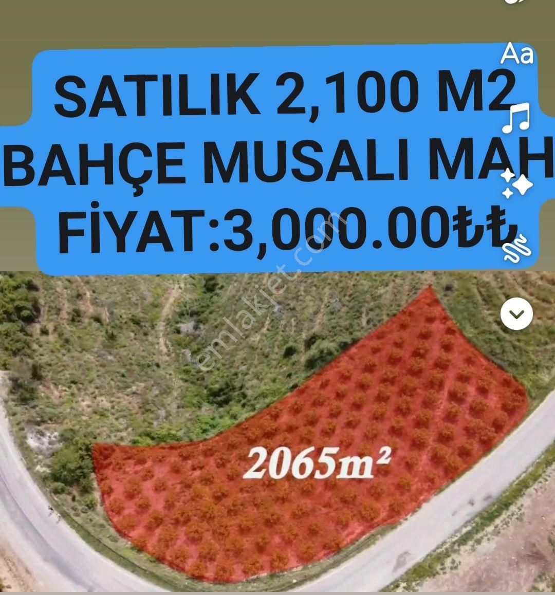 Toroslar Musalı Satılık Bağ & Bahçe 🦅 ACİL SATILIK FIRSAT HURMA BAHÇESİ☎️