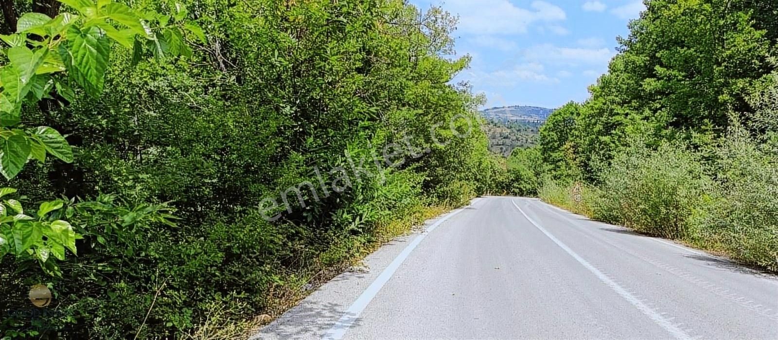 İnegöl Madenköyde Asfalt Yola Cephe 1000 M² Satılık Fırsat Arazi - Görsel 2