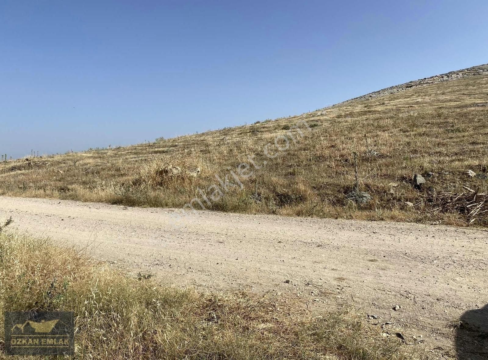 İzmir Tire Mahmutlar Mah Satılık Tarla