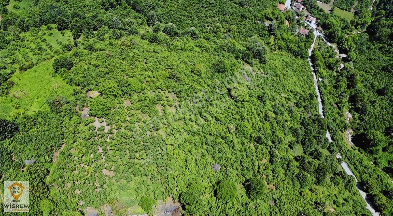 Düzce Merkez Suncuk Köyü Satılık Tarla Düzce Merkez Suncuk Köyü Isırgan Mevkiinde 6420 M2 Satılık Tarla