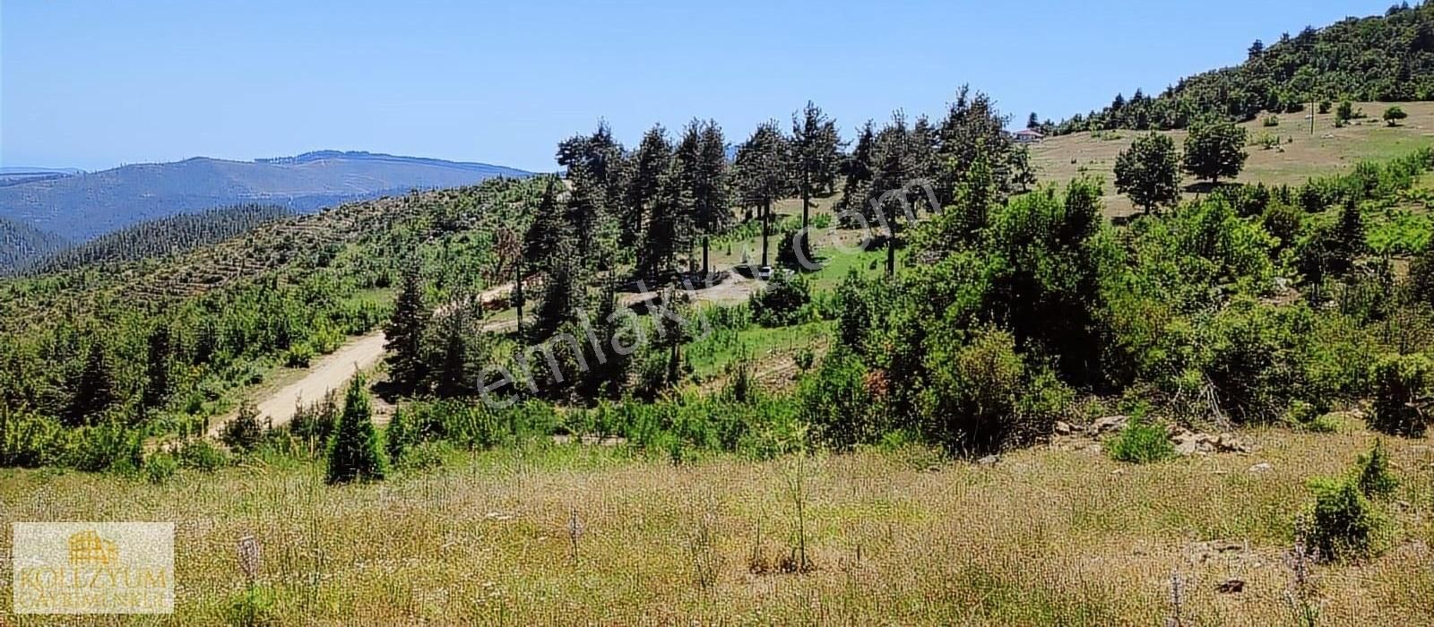 Mezitli Fındıkpınarı Satılık Tarla Kolezyum Dan Mezitli Fındıkpınarı Nda Satılık Arazi