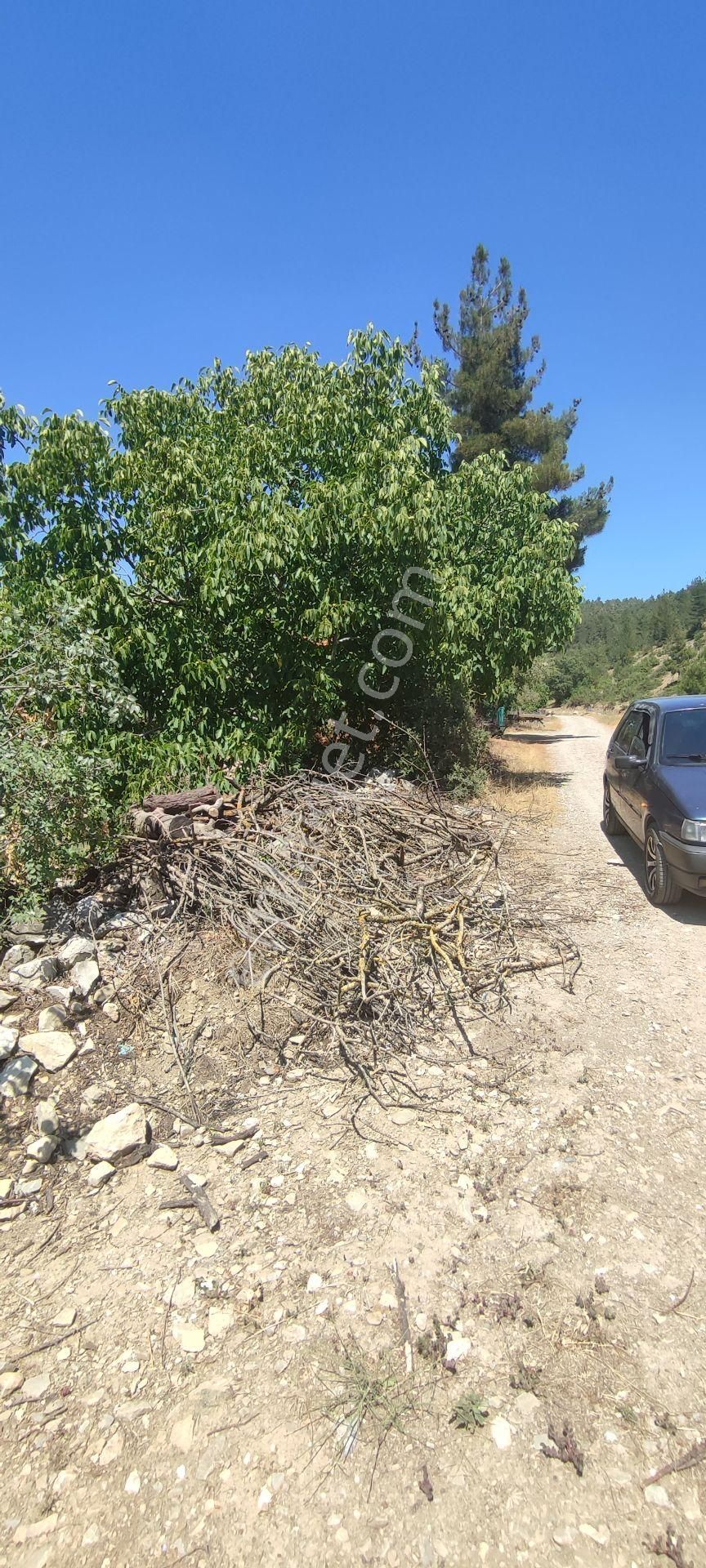 Burdur Ağlasun Hisarköy'de Satılık Bahçeli Ev - Görsel 4