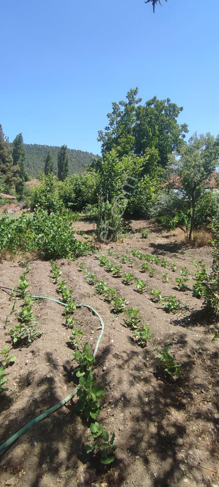 Burdur Ağlasun Hisarköy'de Satılık Bahçeli Ev - Görsel 10