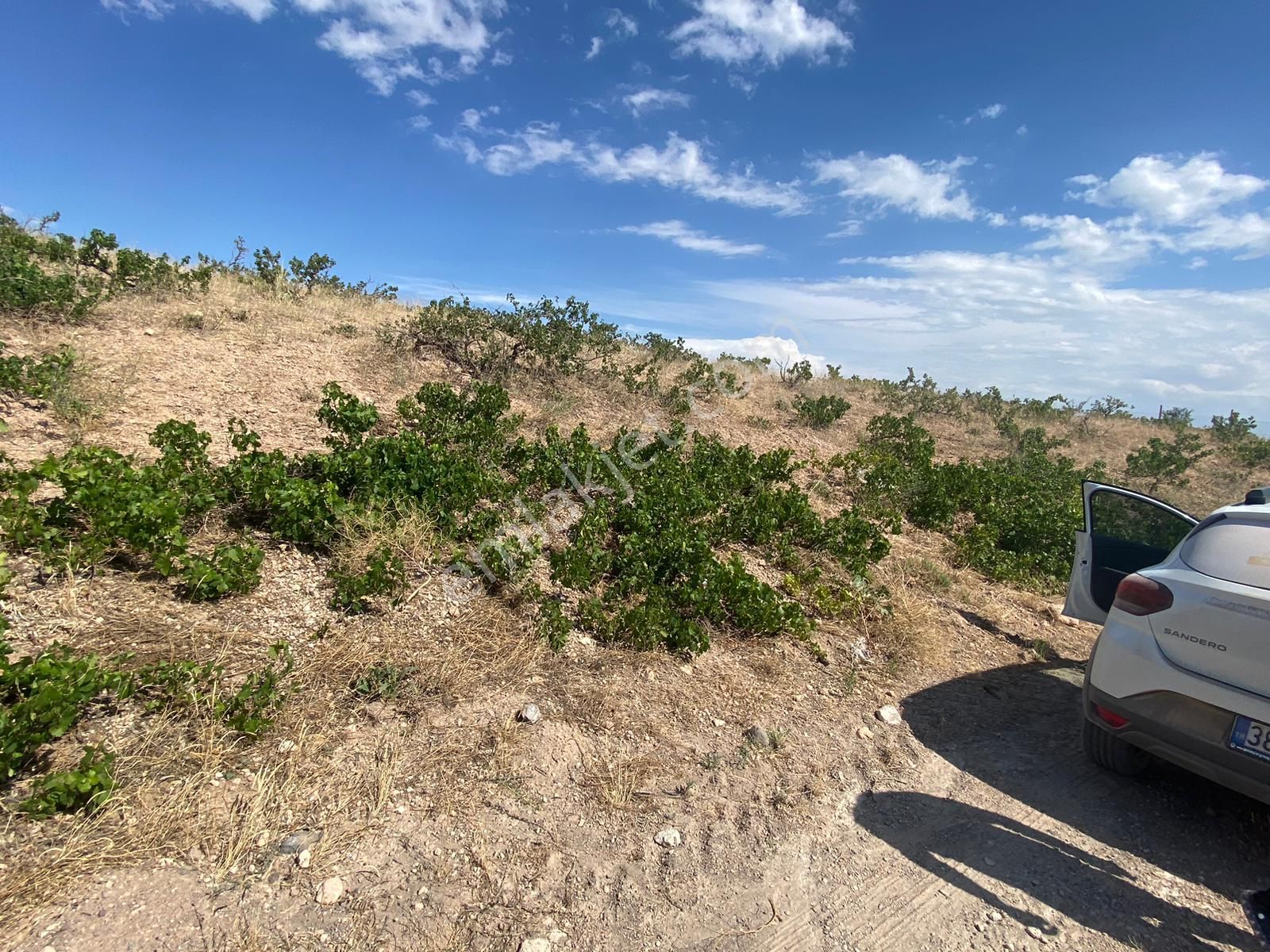 Öz Gaye Emlaktan Develi Reşadiye Güzelce Mevkinde Satılık Bağ - Görsel 5