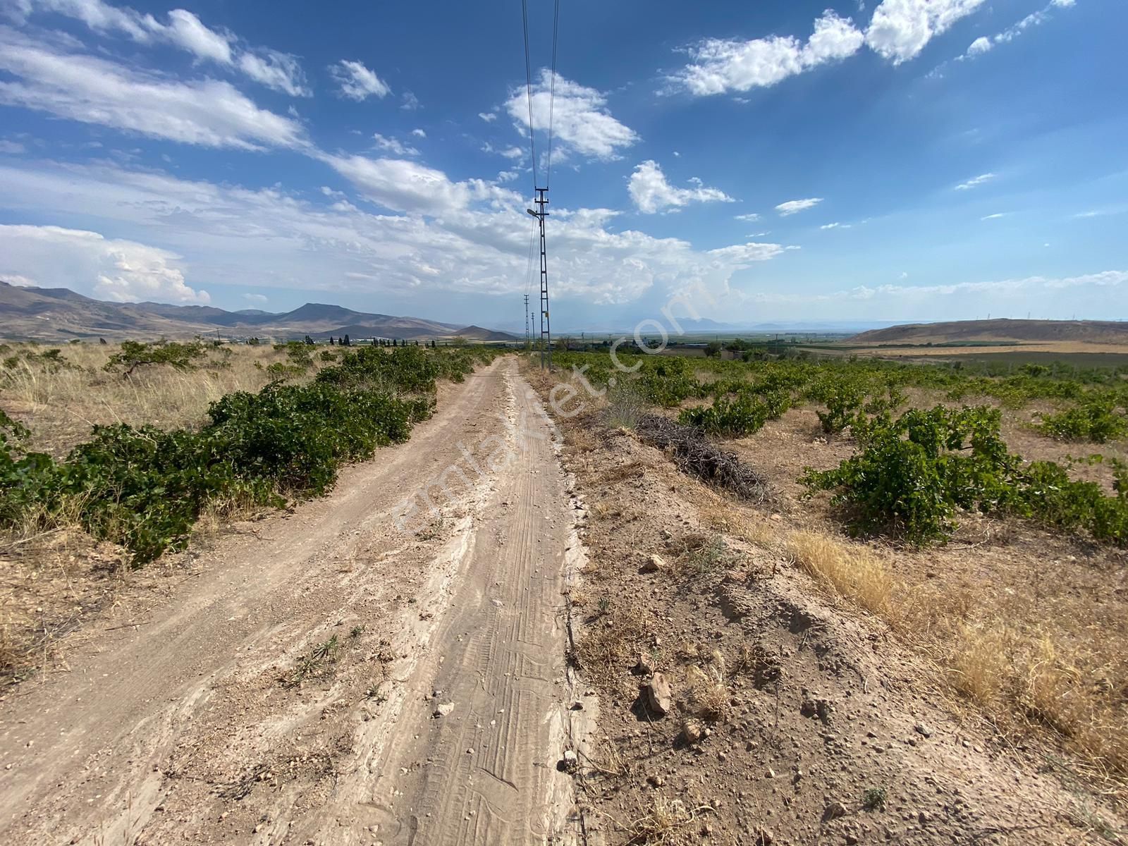 Öz Gaye Emlaktan Develi Reşadiye Güzelce Mevkinde Satılık Bağ - Görsel 4