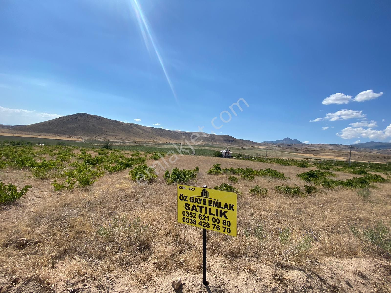 Öz Gaye Emlaktan Develi Reşadiye Güzelce Mevkinde Satılık Bağ - Görsel 2