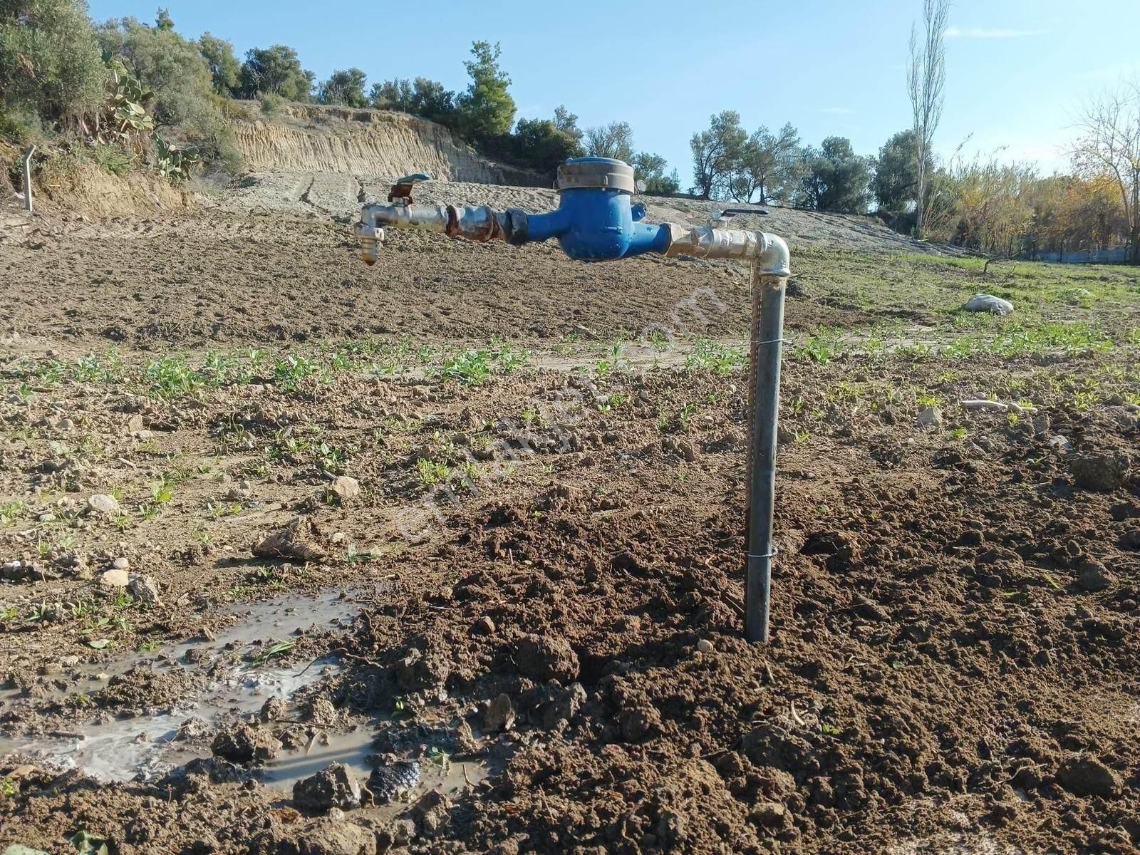 Evrenler Yavşi Mahallesi'nde Yatırım Fırsatı: Etrafı Evlerle Çevrili Satılık Tarla! - Görsel 8