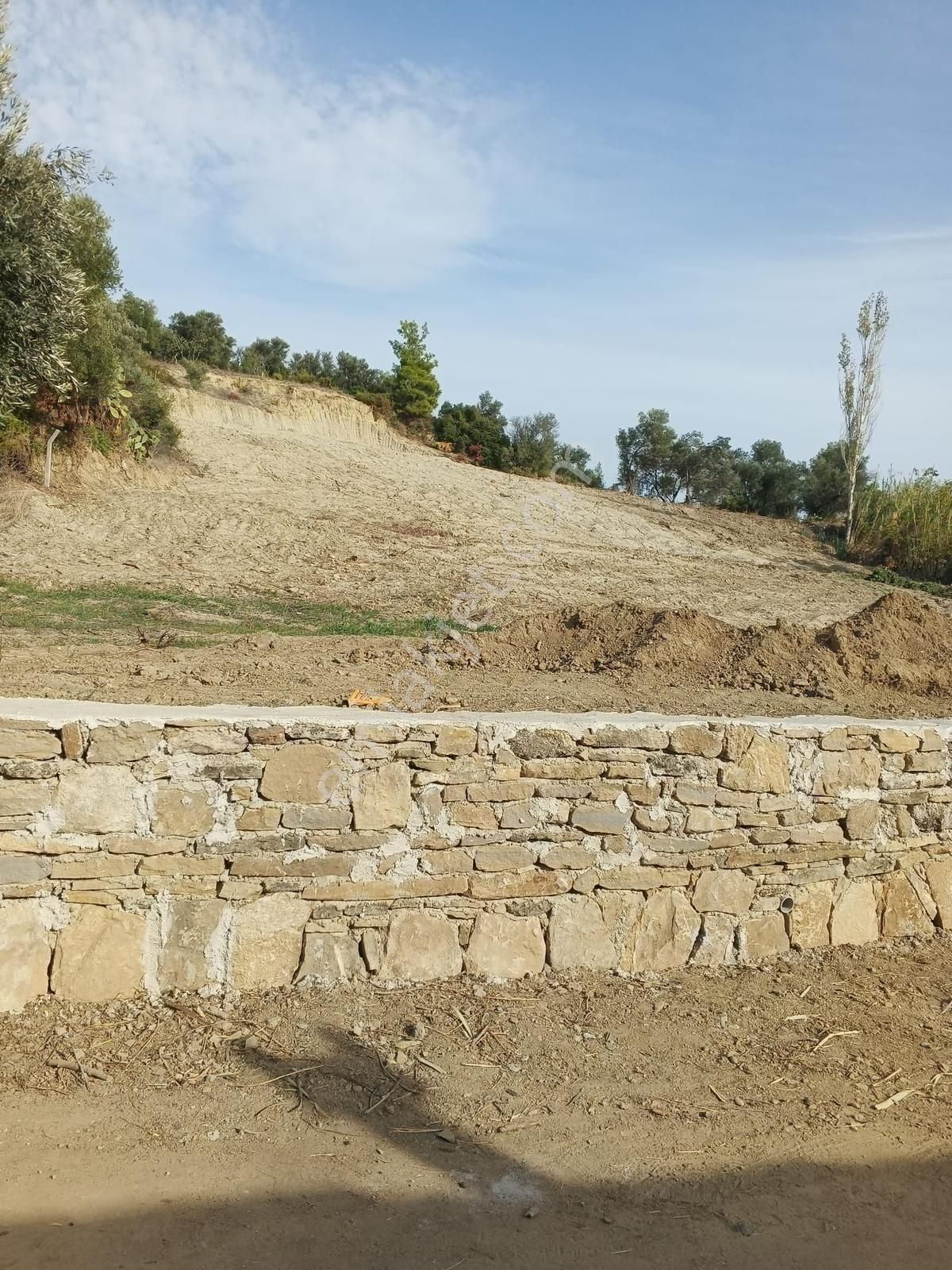 Evrenler Yavşi Mahallesi'nde Yatırım Fırsatı: Etrafı Evlerle Çevrili Satılık Tarla! - Görsel 4