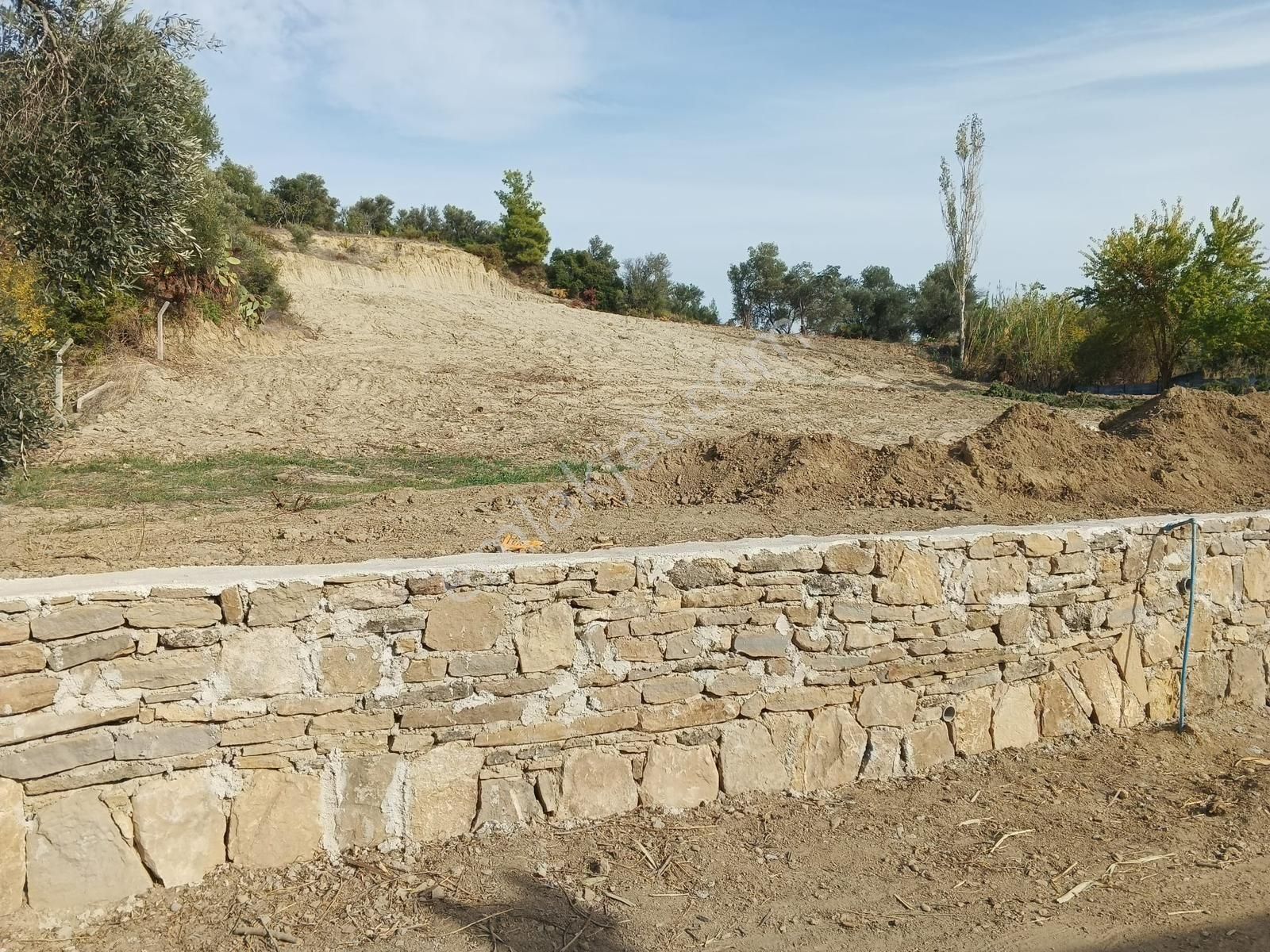 Evrenler Yavşi Mahallesi'nde Yatırım Fırsatı: Etrafı Evlerle Çevrili Satılık Tarla! - Görsel 5