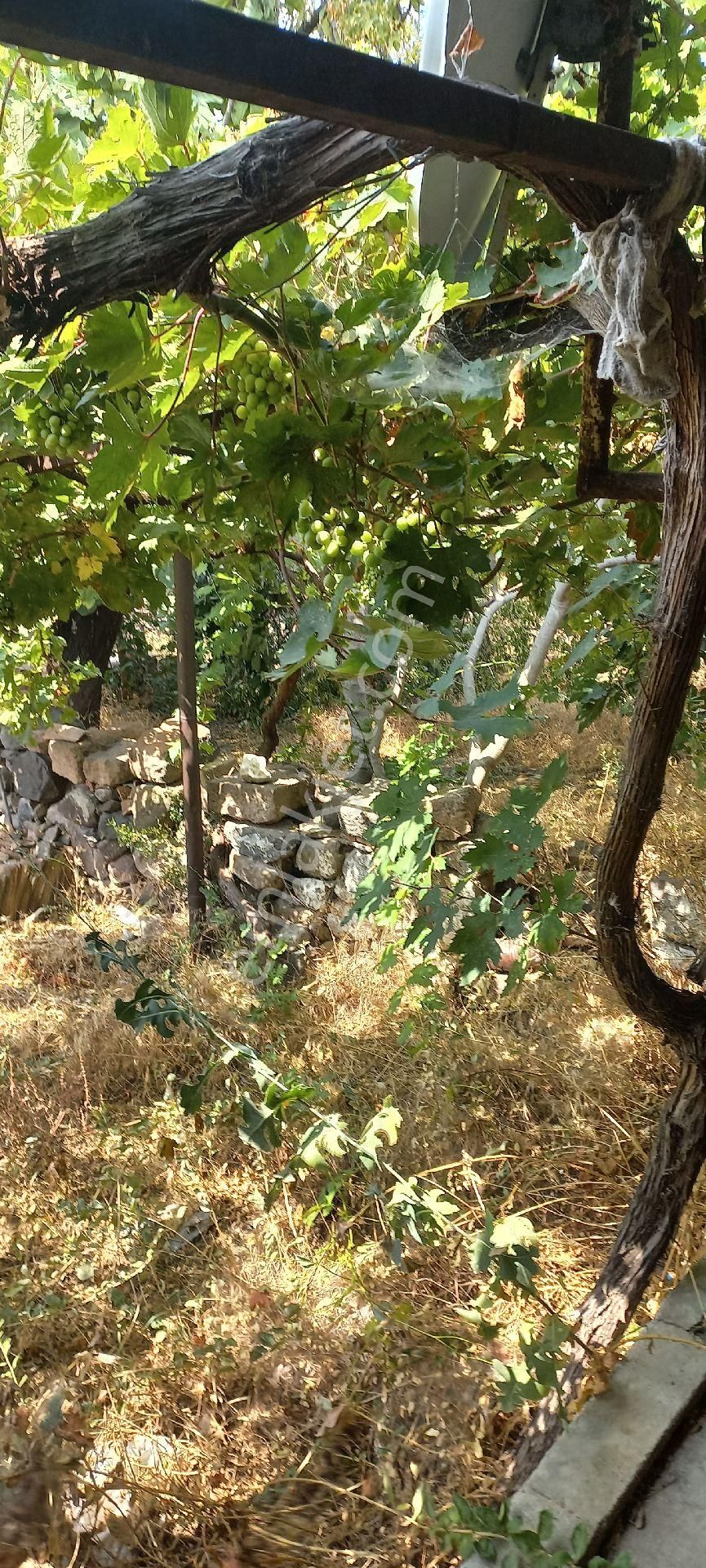 Satılık Müstakiltapu Köy Evi - Görsel 6