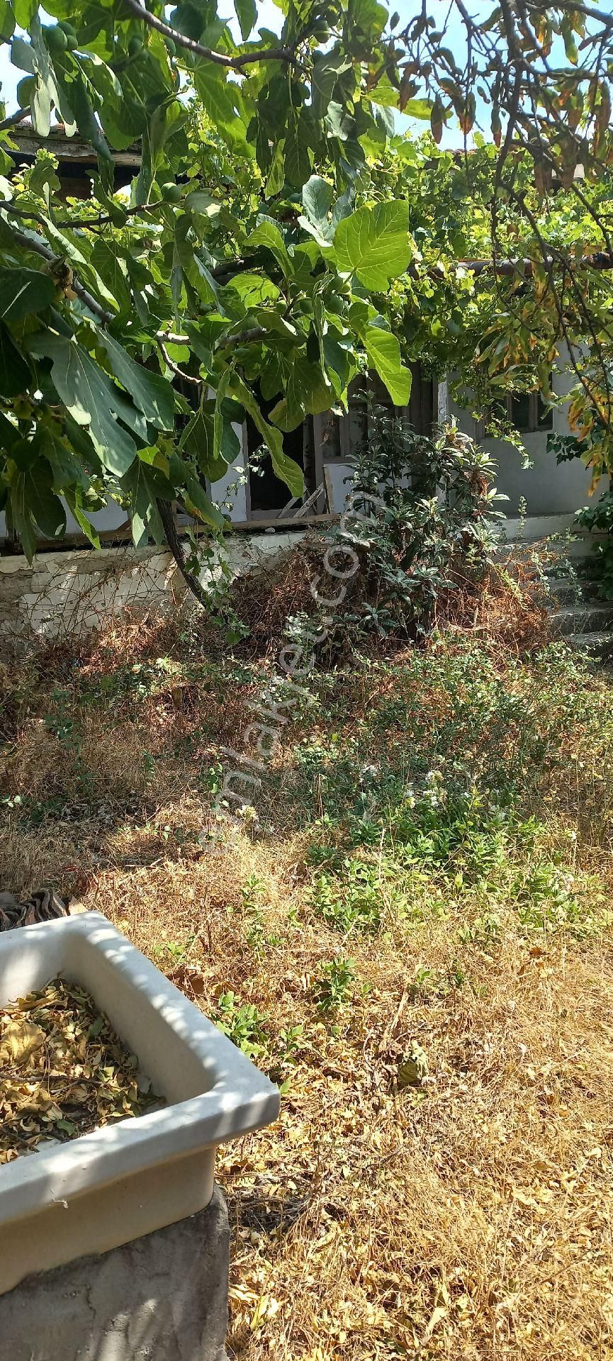 Satılık Müstakiltapu Köy Evi - Görsel 12