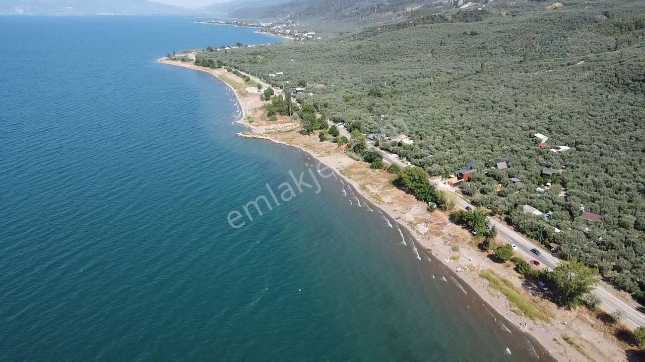 İznik Mustafalı Satılık Zeytinlik İZNİK MUSTAFALI'DA KÖYÜN DİBİNDE-SAHİLE YAKIN 1.670M2 ZEYTİNLİK 