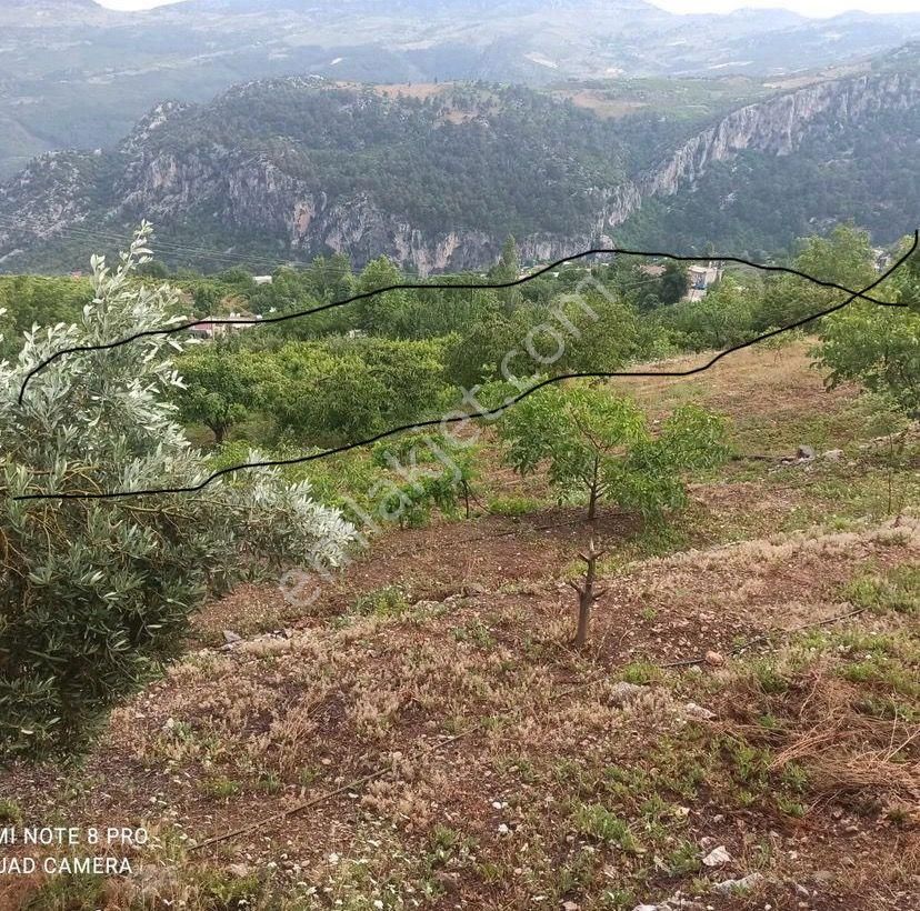 Mezitli Tece Satılık Tarla  VEGADAN TECEDE SARILARDA SATILIK İÇİNDE EV OLAN SATILIK ARSA