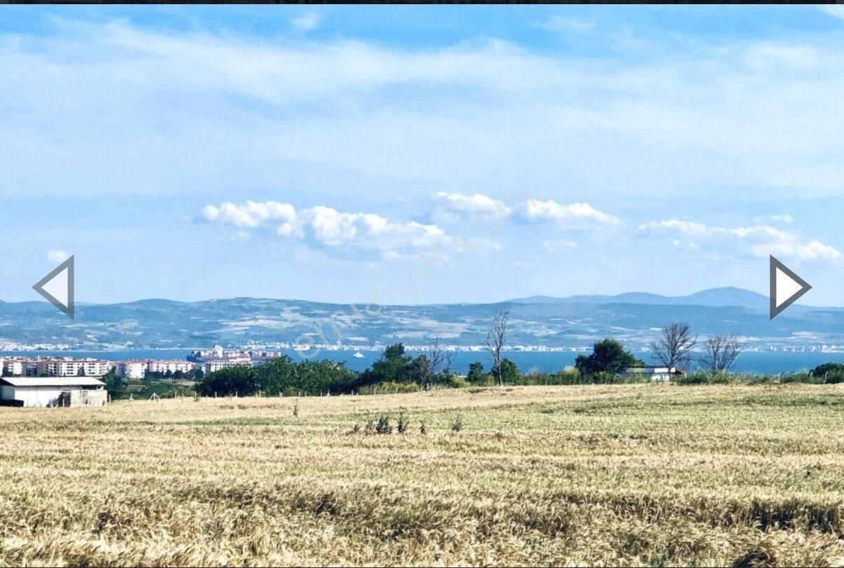 Yeni İmar Yanında , Köprü Ve Boğaz Manzaralı.üç Yol Ağzı Panoramik,kazançlı 24000 Metre - Görsel 11