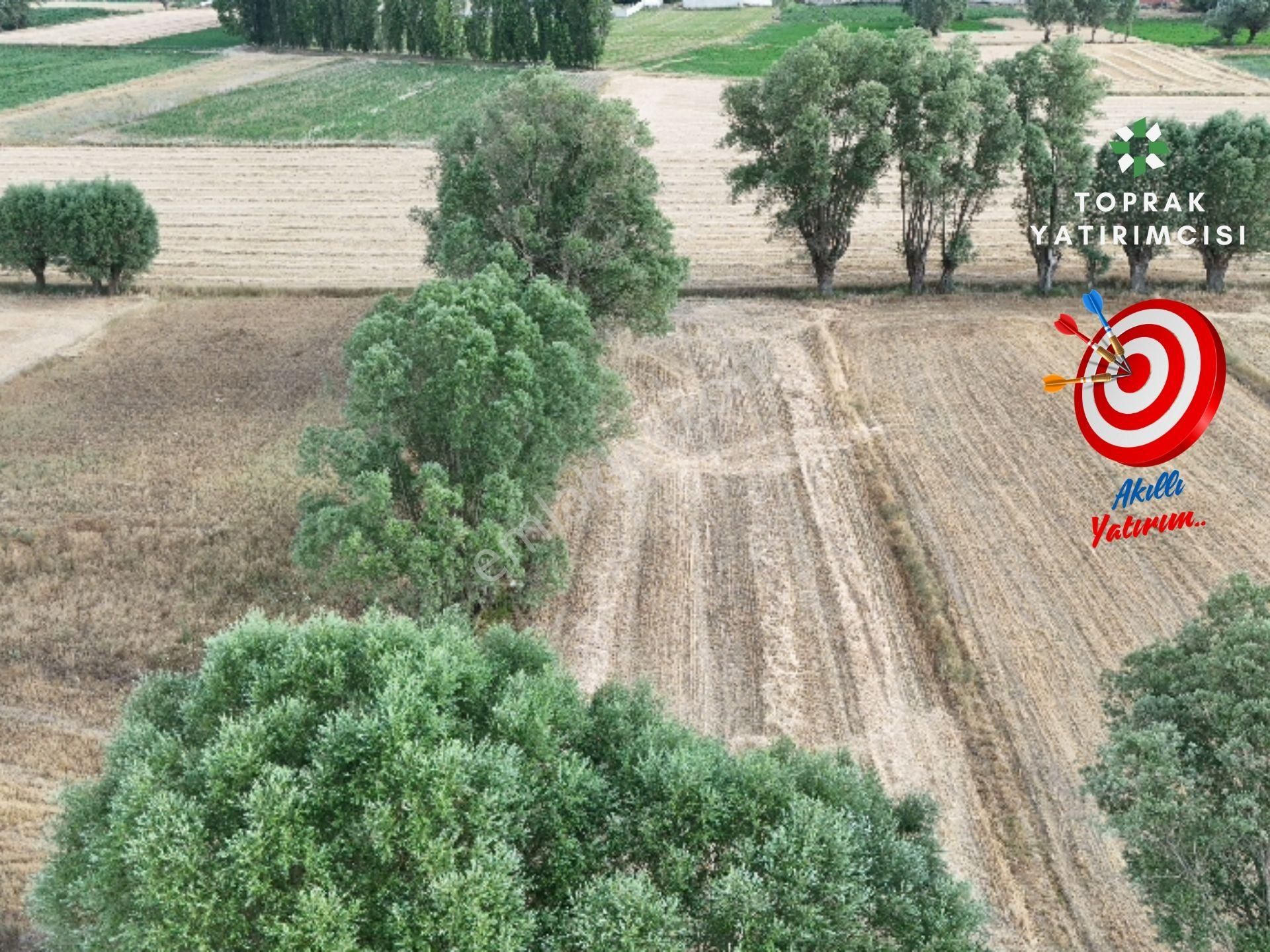 Sinanpaşa Akören Bld. (Yıldırım Beyazıt) Satılık Tarla  Toprak Yatırımcısı'ndan İmar Planı içerisinde 860m² Tarla