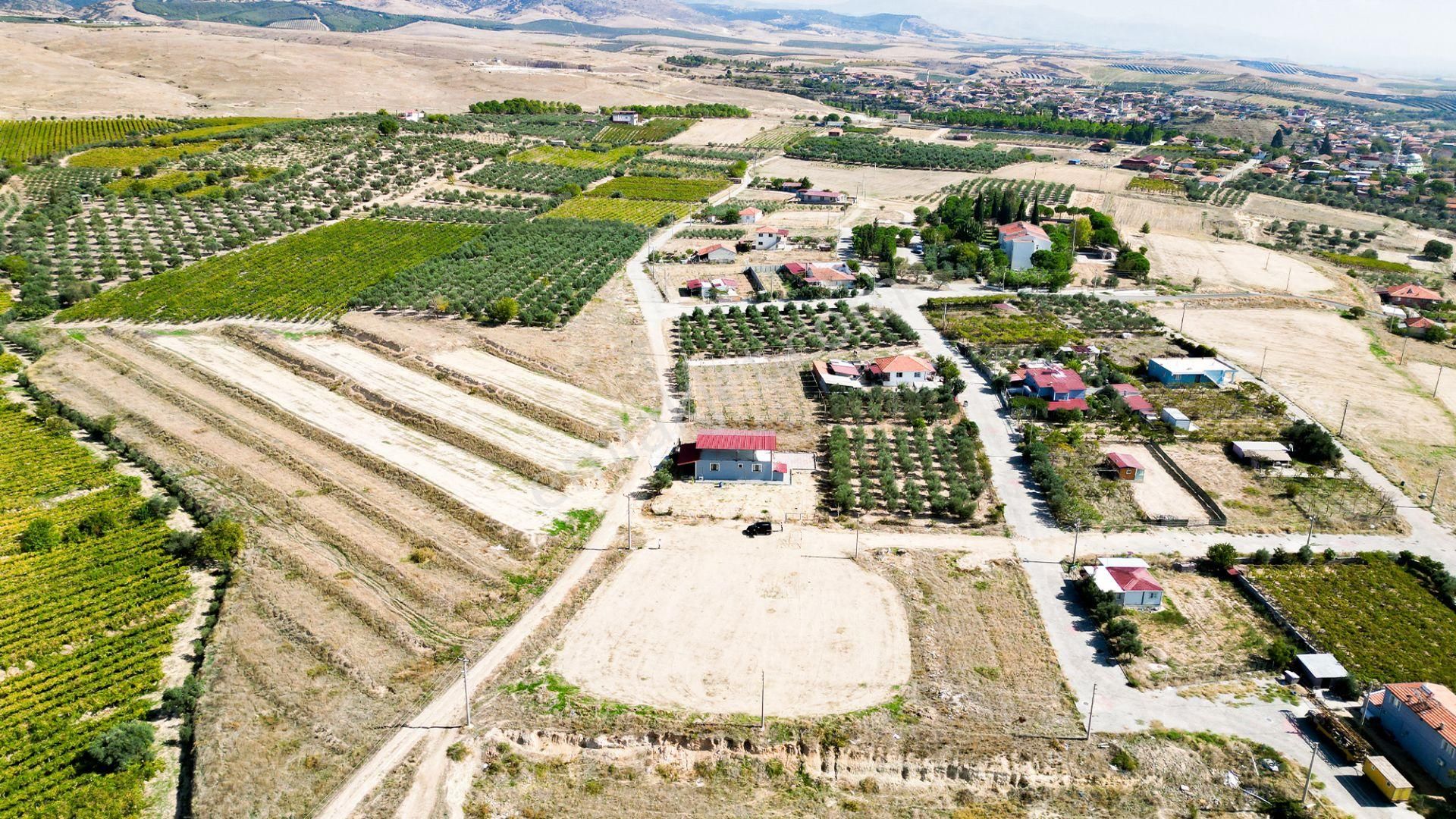 Alaşehir Kemaliye Satılık Konut İmarlı  Manisa alaşehir kemaliye mahallesi'nde satılık imarlı arsa