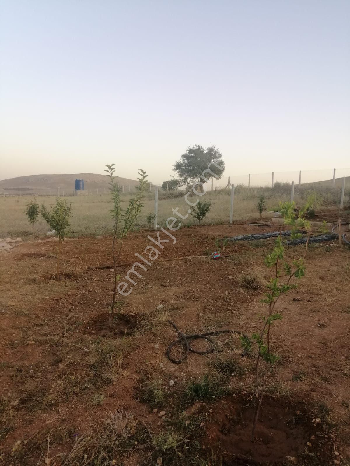 Meram Kayıhüyük Satılık Bağ & Bahçe Sarpmar emlaktan satılık hobi bahçesi kayıhüyük te konya manzaralı