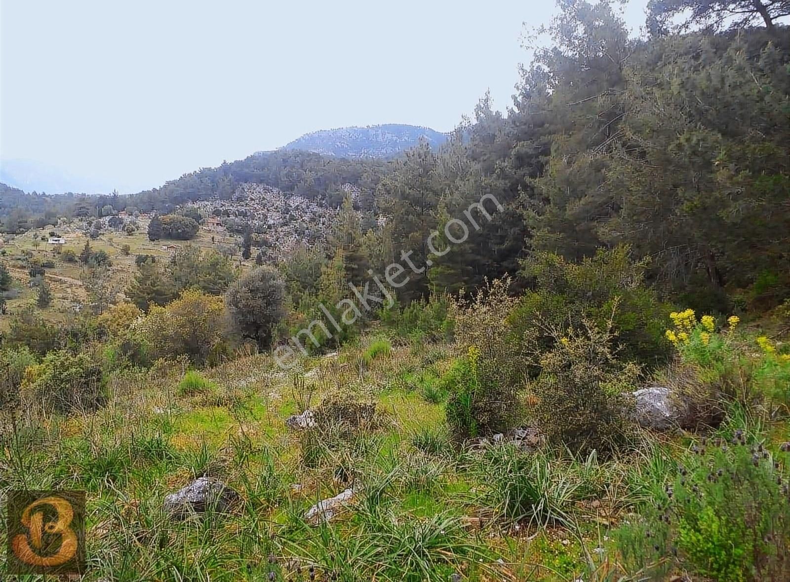 Antalya Kumluca Adrasan Satılık 630 M2 Tek Tapu Doğa İçinde Arsa - Görsel 18