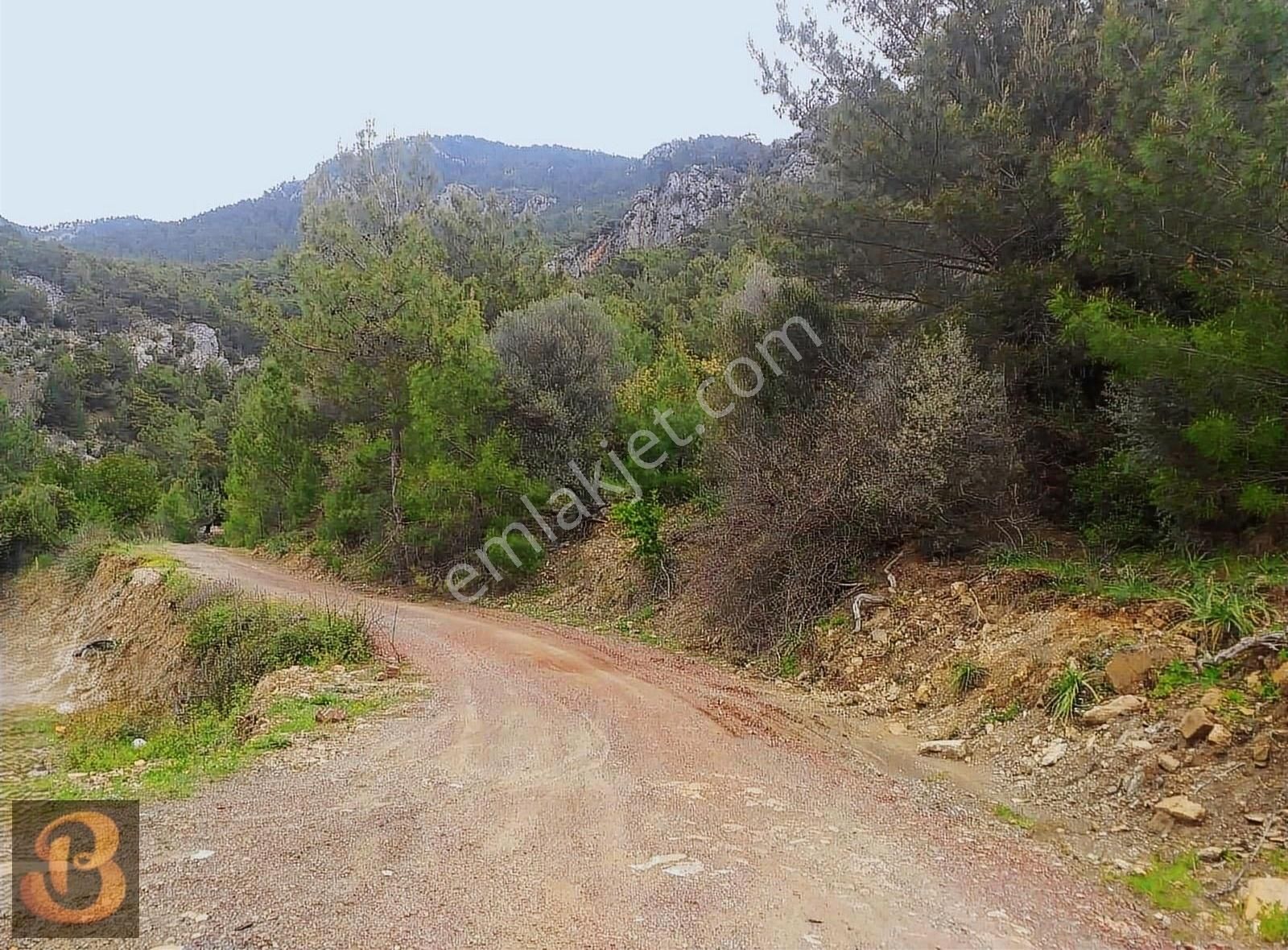 Antalya Kumluca Adrasan Satılık 630 M2 Tek Tapu Doğa İçinde Arsa - Görsel 8