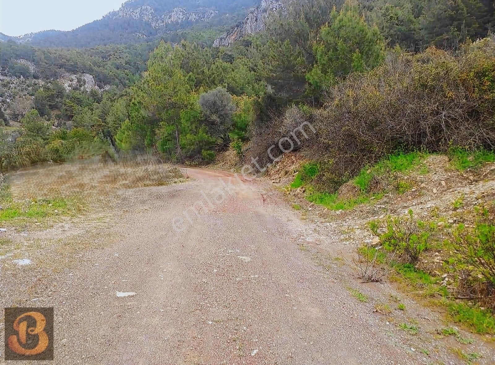 Antalya Kumluca Adrasan Satılık 630 M2 Tek Tapu Doğa İçinde Arsa - Görsel 7