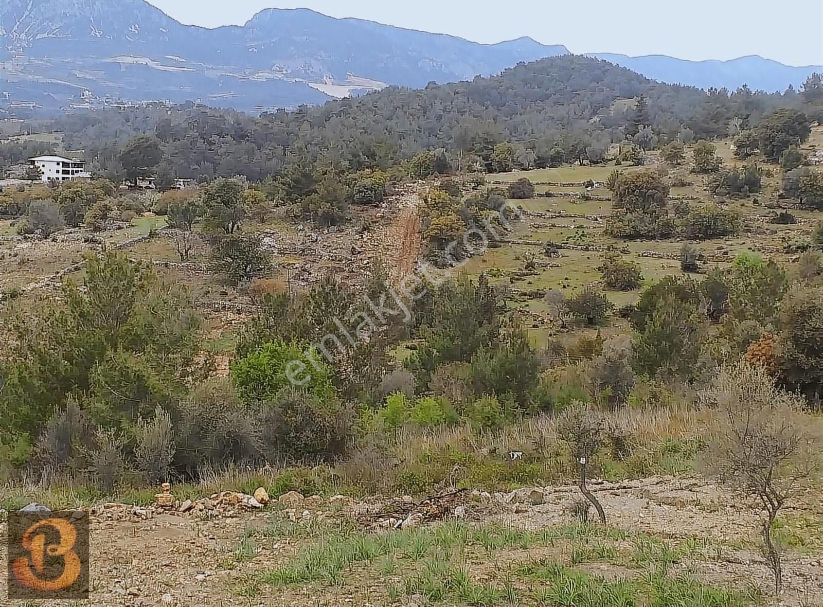 Antalya Kumluca Adrasan Satılık 630 M2 Tek Tapu Doğa İçinde Arsa - Görsel 16