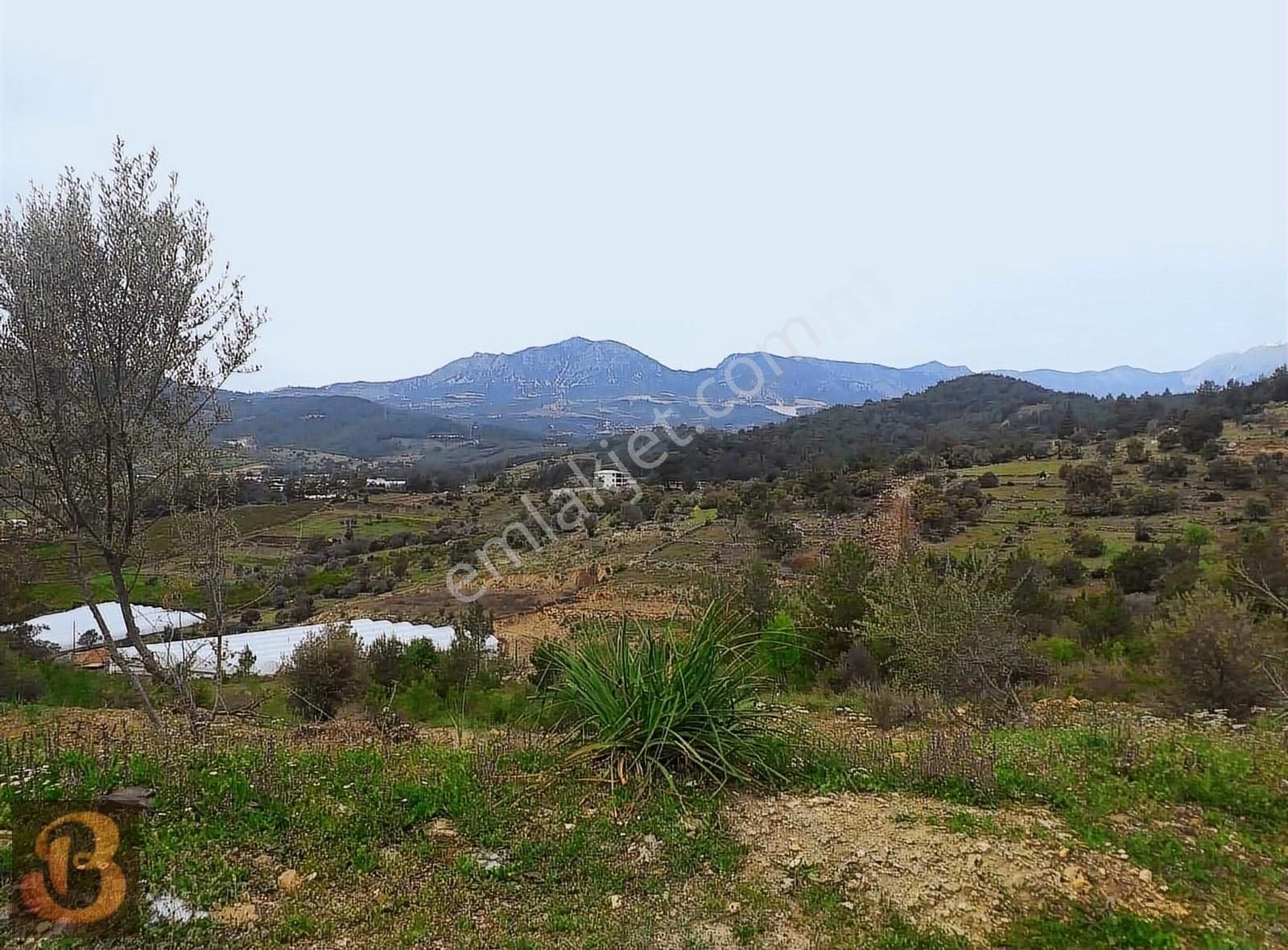 Antalya Kumluca Adrasan Satılık 630 M2 Tek Tapu Doğa İçinde Arsa - Görsel 14