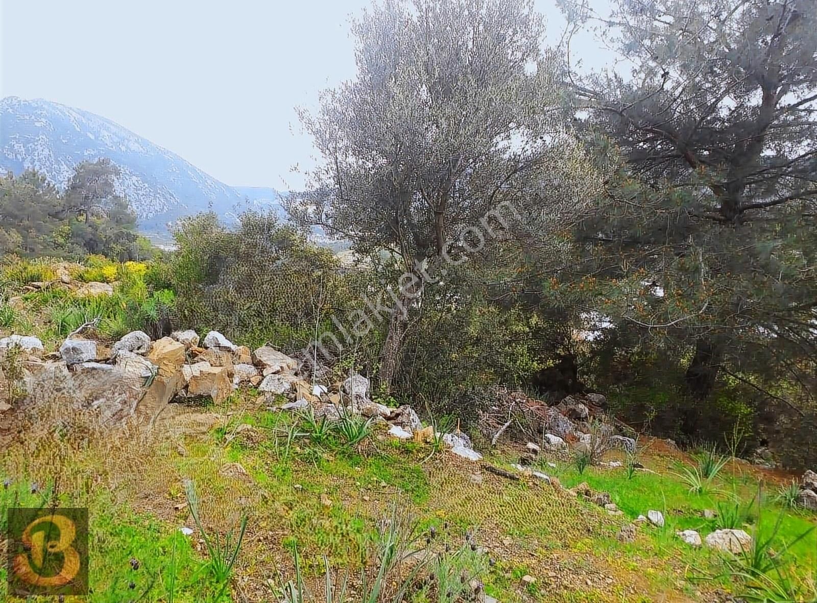 Antalya Kumluca Adrasan Satılık 630 M2 Tek Tapu Doğa İçinde Arsa - Görsel 13