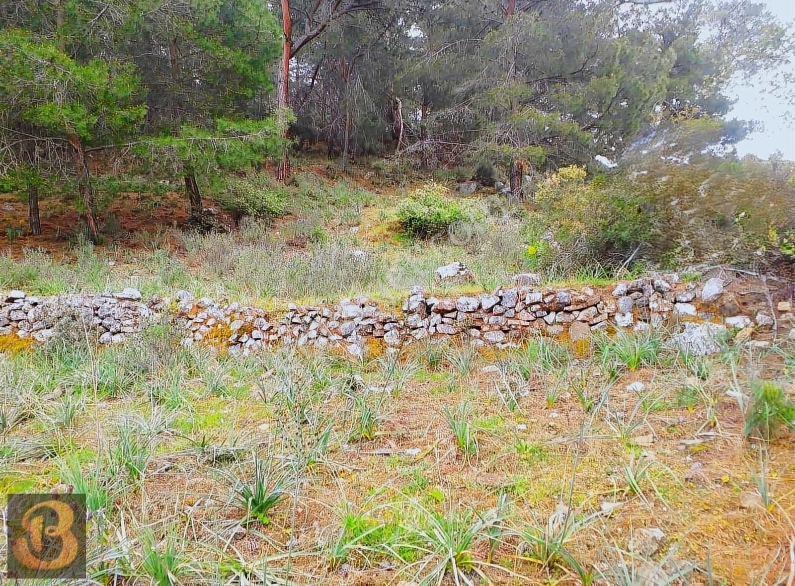 Kumluca Adrasan Satılık Tarla Antalya Kumluca Adrasan Satılık 630 M2 Tek Tapu Doğa İçinde Arsa