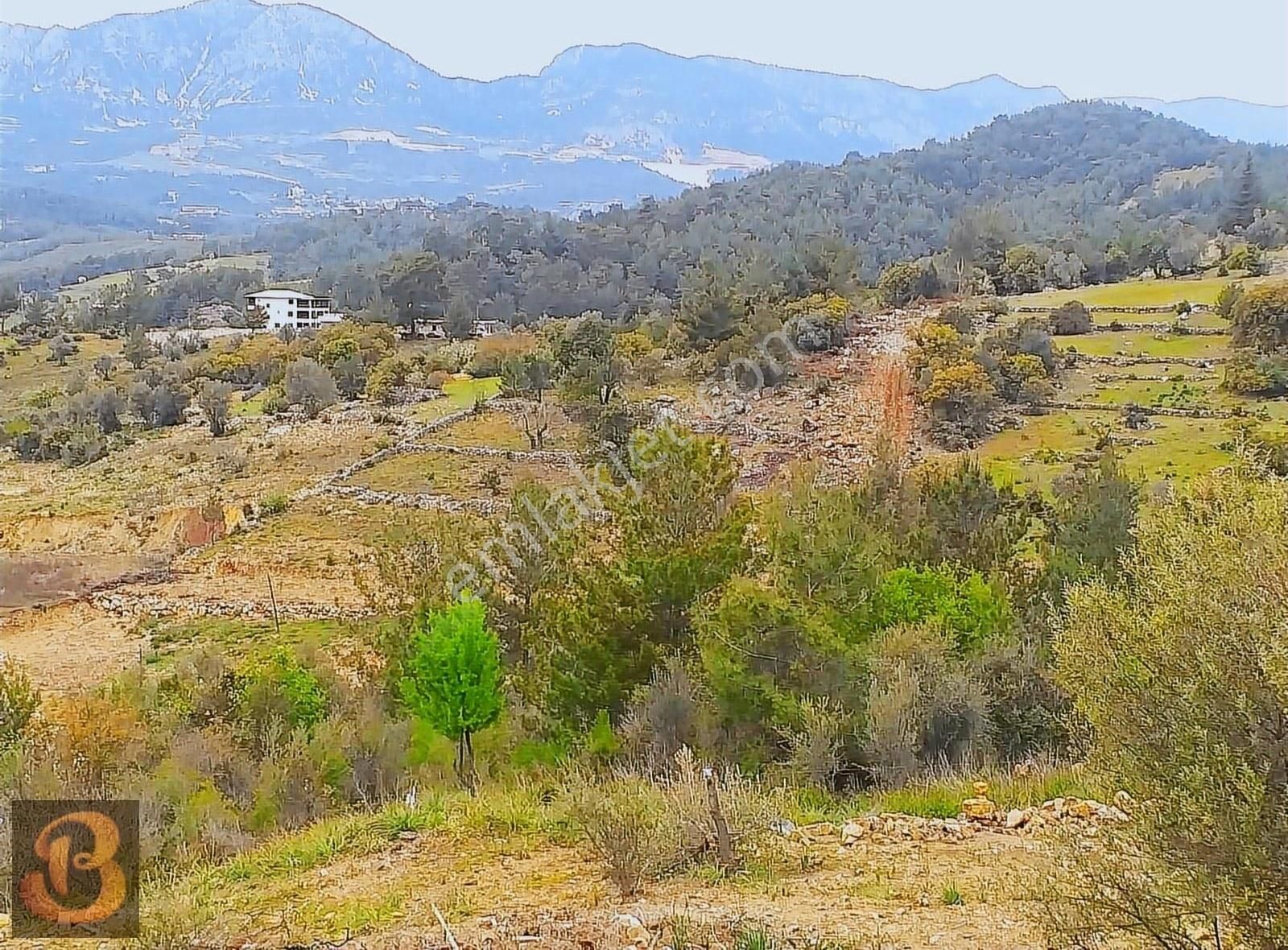 Antalya Kumluca Adrasan Satılık 630 M2 Tek Tapu Doğa İçinde Arsa - Görsel 4