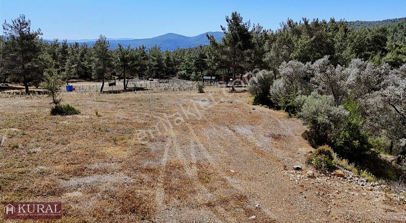 Menderes Ataköy Satılık Tarla FIRSAT ATAKÖYDE 1844 M2 KÖK HİSSE TAPULU ORMANİÇİ MENDERES İZMİR