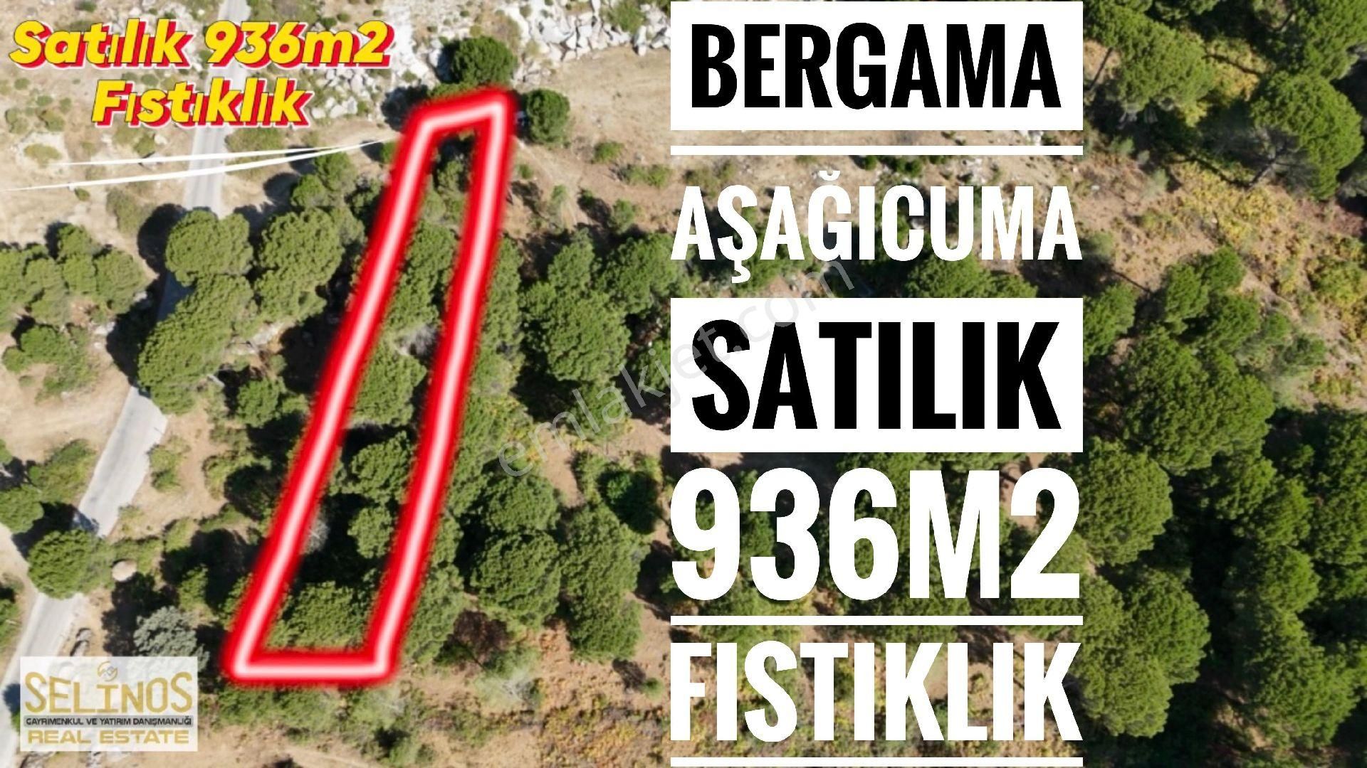 Bergama Aşağıcuma Satılık Tarla KOZAK AŞAĞICUMA MAHALLESİNDE FISTIKLIK