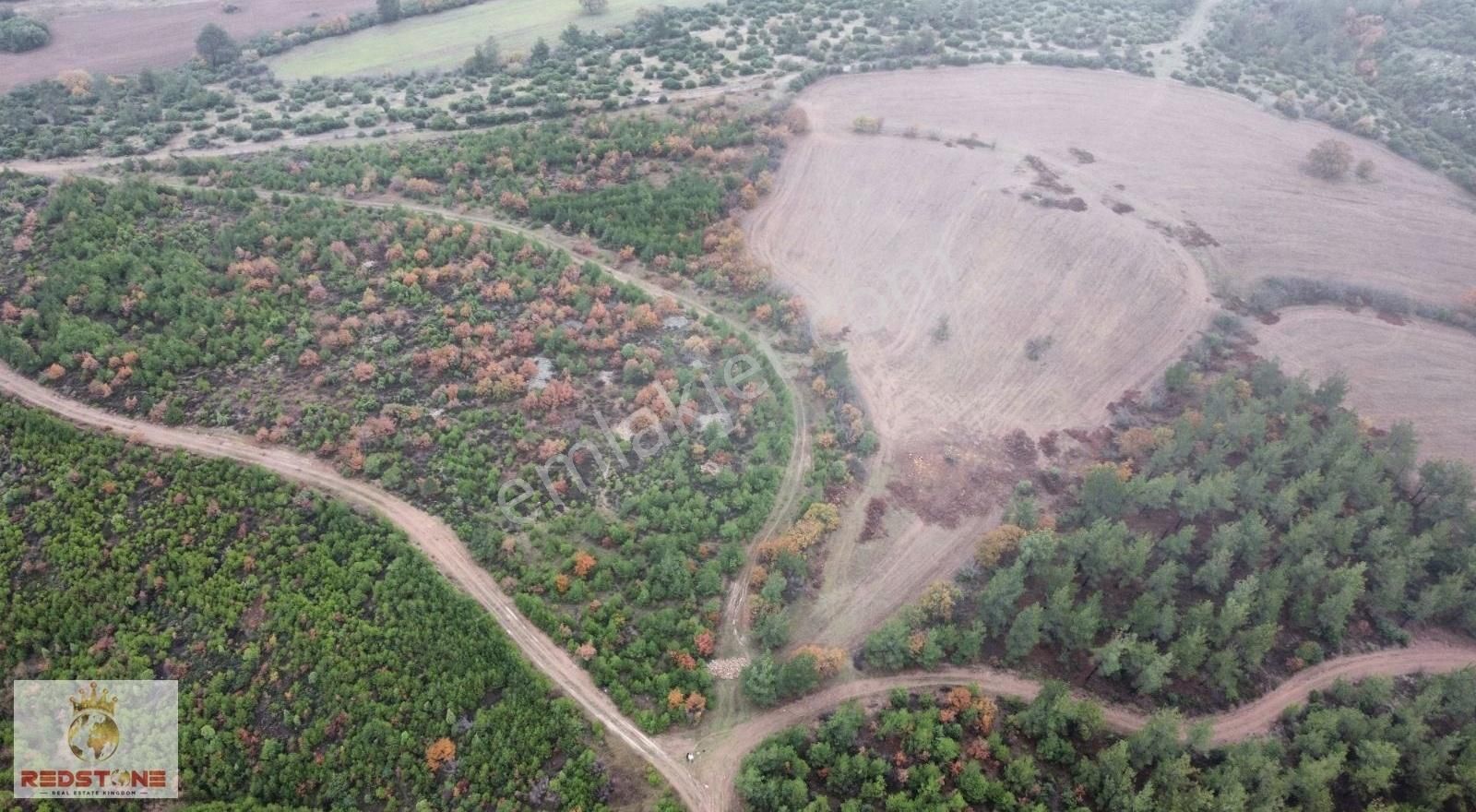 Bayramiç Bezirganlar Köyü Satılık Tarla BAYRAMİÇ BEZİRGANLAR'DA 13.5 DÖNÜM SATILIK FIRSAT TARLA