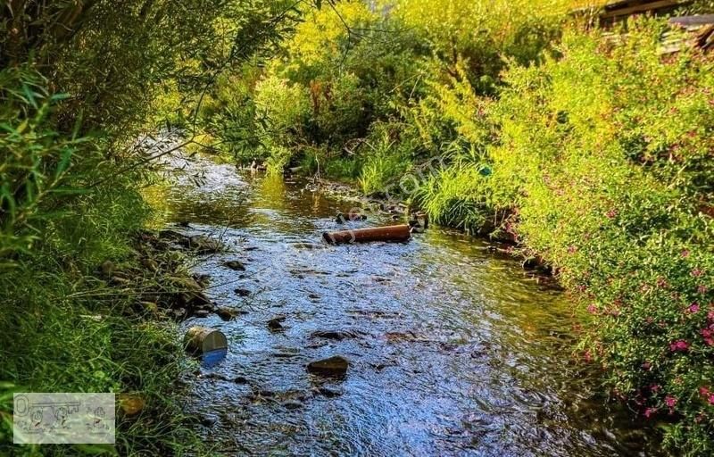 Tortum Çaylıca Satılık Tarla Erzurum Tortum Çaylıca'Da Satılık 6.170 Metre Tarla