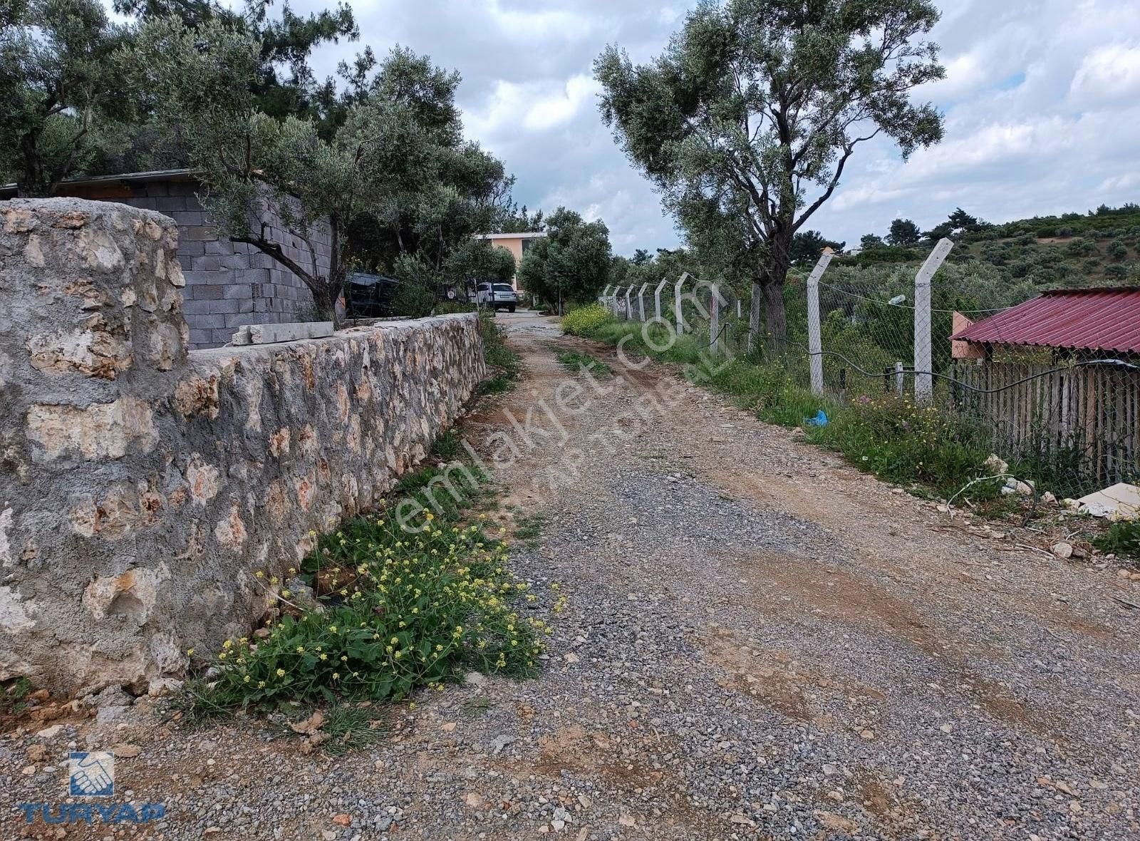 Torbalı Çapak Satılık Zeytinlik TURYAP TORBALI DAN ÇAPAK KÖY DİBİNDE MANZARALI 1400 M² SATILIK