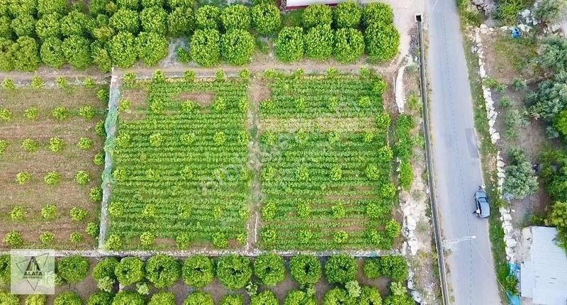 Erdemli Koyuncu Satılık Tarla Deniz Manzaralı Satılık Konut İmarlı Arsa 1.140m2 1 Emsal