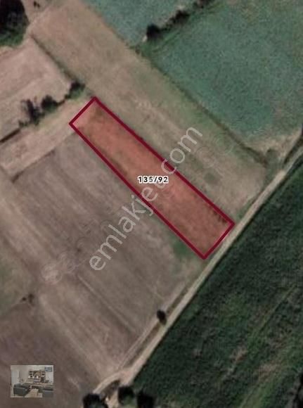 Bursa Yenişehir Burcun Mah. Yatırımlık Fırsat Tarla - Görsel 3