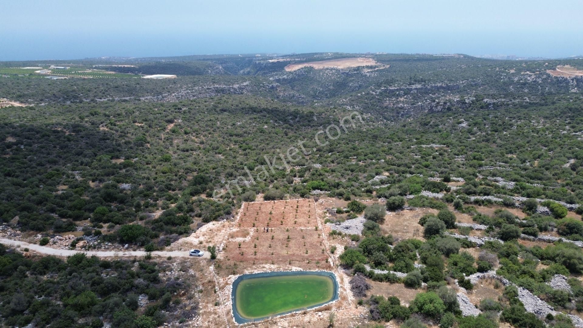 Erdemli Ayaş Satılık Tarla Lidya Emlak Recep Öz Den Ayaş Da Deniz Manzaralı 2500 M2 Tarla