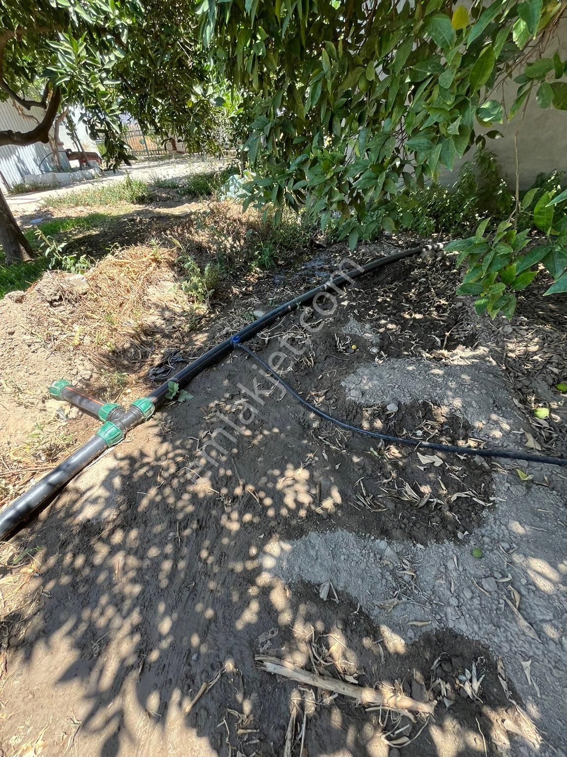 Fırsat Portakal Bahçesi - Görsel 11