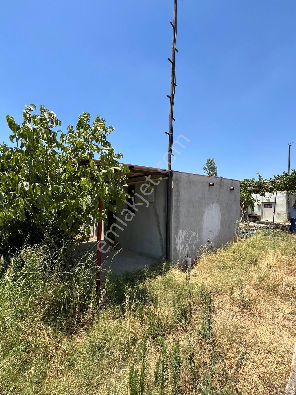 Fırsat Portakal Bahçesi - Görsel 6