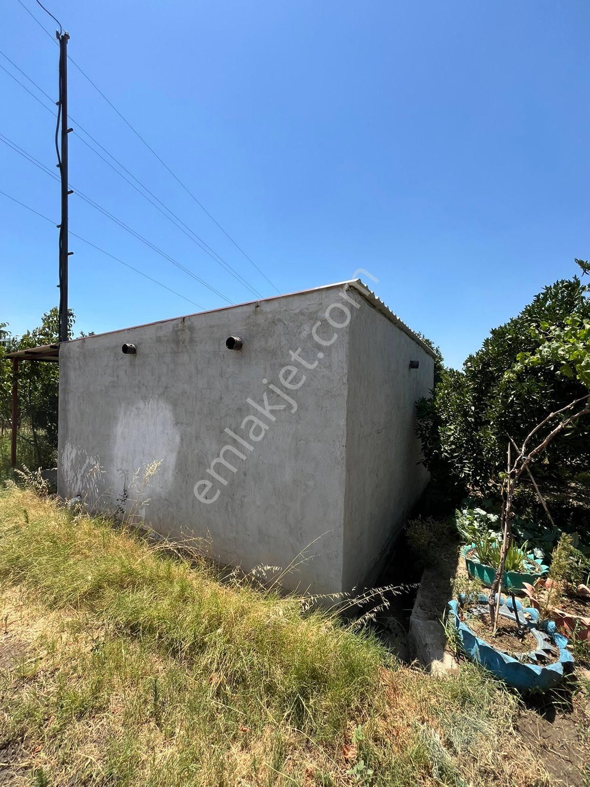 Fırsat Portakal Bahçesi - Görsel 8