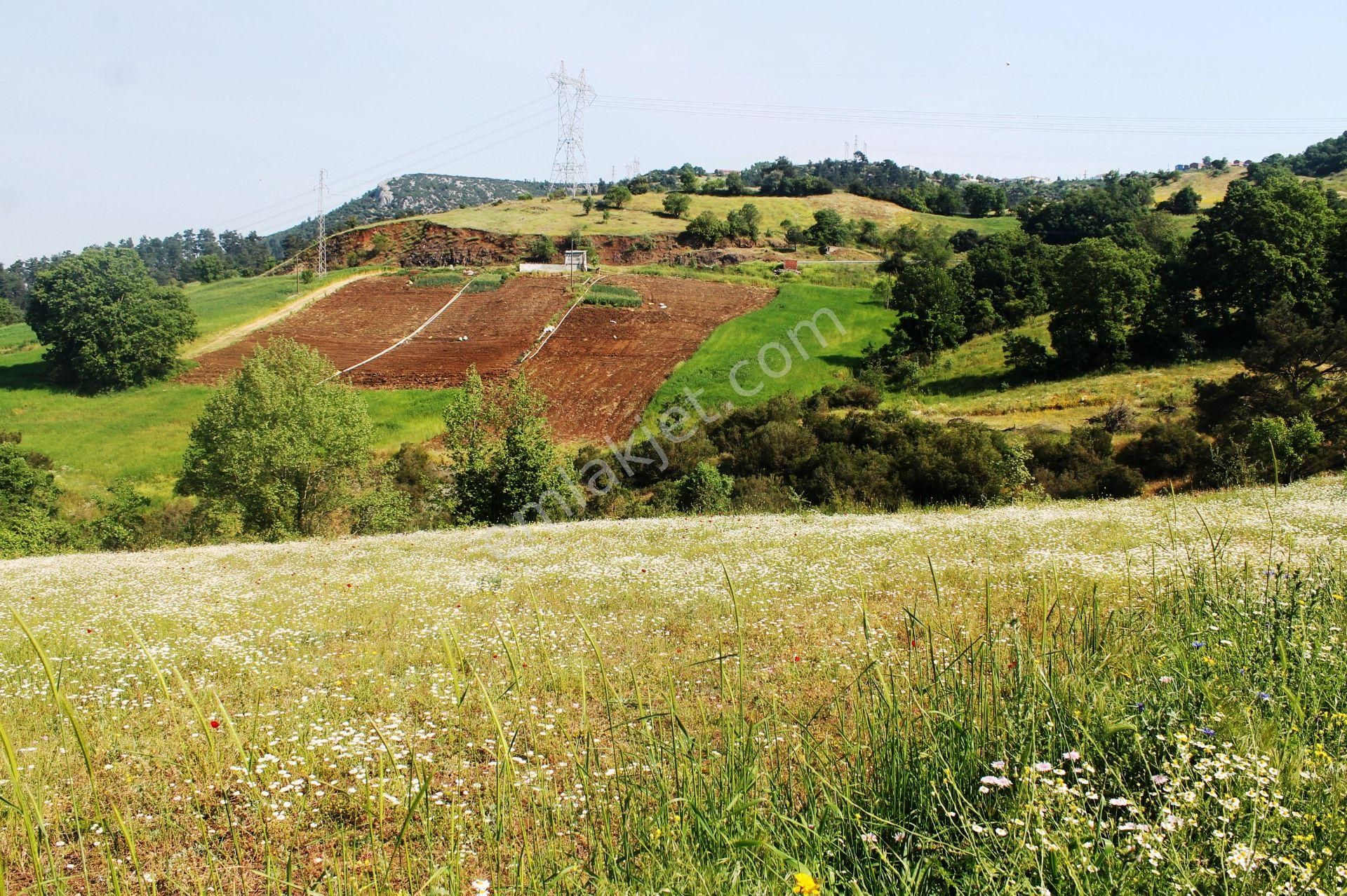 Yenice Çal Köyü Satılık Tarla  ÇALKÖY YENİCE'DE EŞSİZ DOĞA VE GÖL MANZARALI 7577m2 SATILIK ARSA