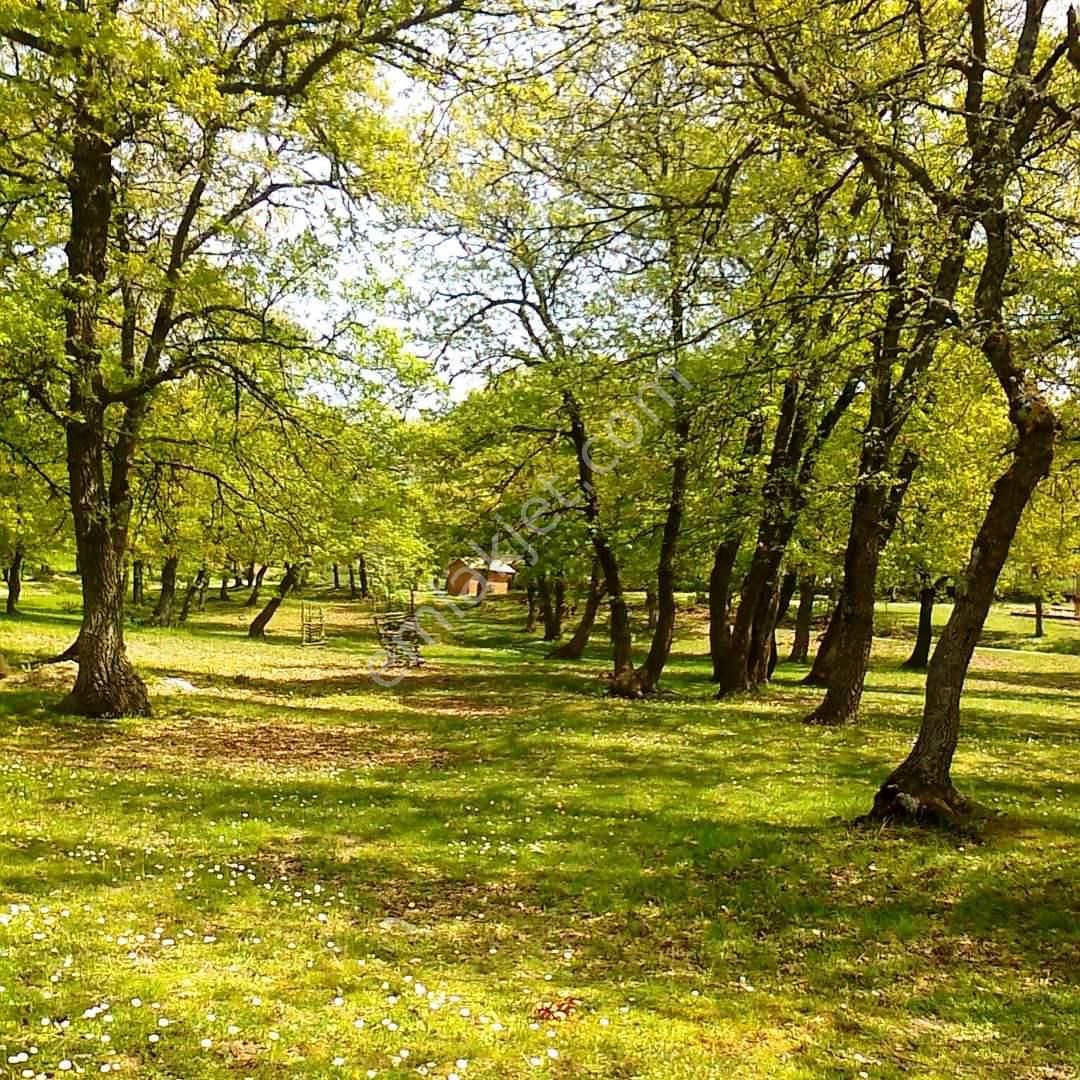 Çan Dereoba Köyü Satılık Tarla  ÇAN MERKEZE 15 DK.DEREOBA KÖYÜNDE 9000m2 YATIRIMLIK SATILIK ARSA