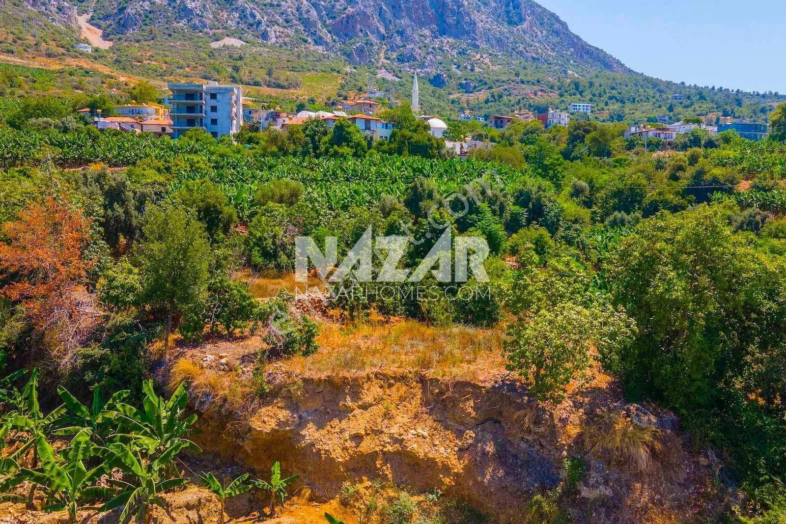 Alanya Kestel Yaylalı'da Satılık 1.405 M2 Avokado Bahçeli Tarla - Görsel 5