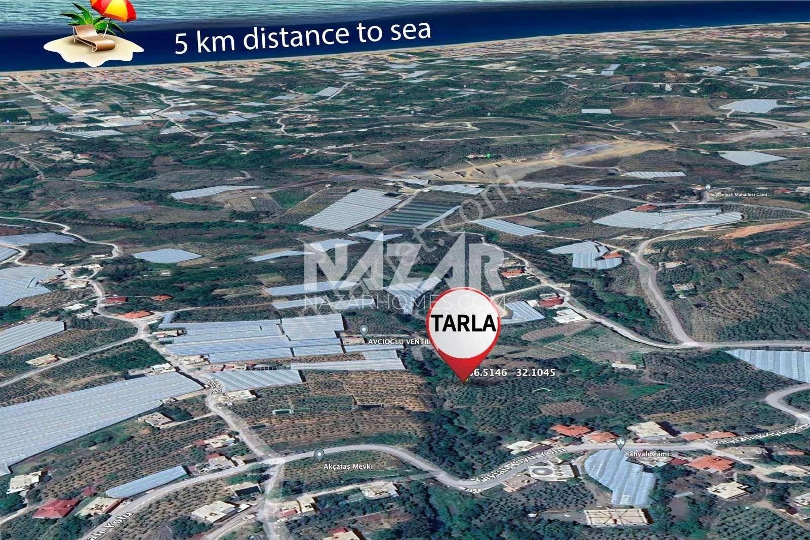 Alanya Kestel Yaylalı'da Satılık 1.405 M2 Avokado Bahçeli Tarla - Görsel 3