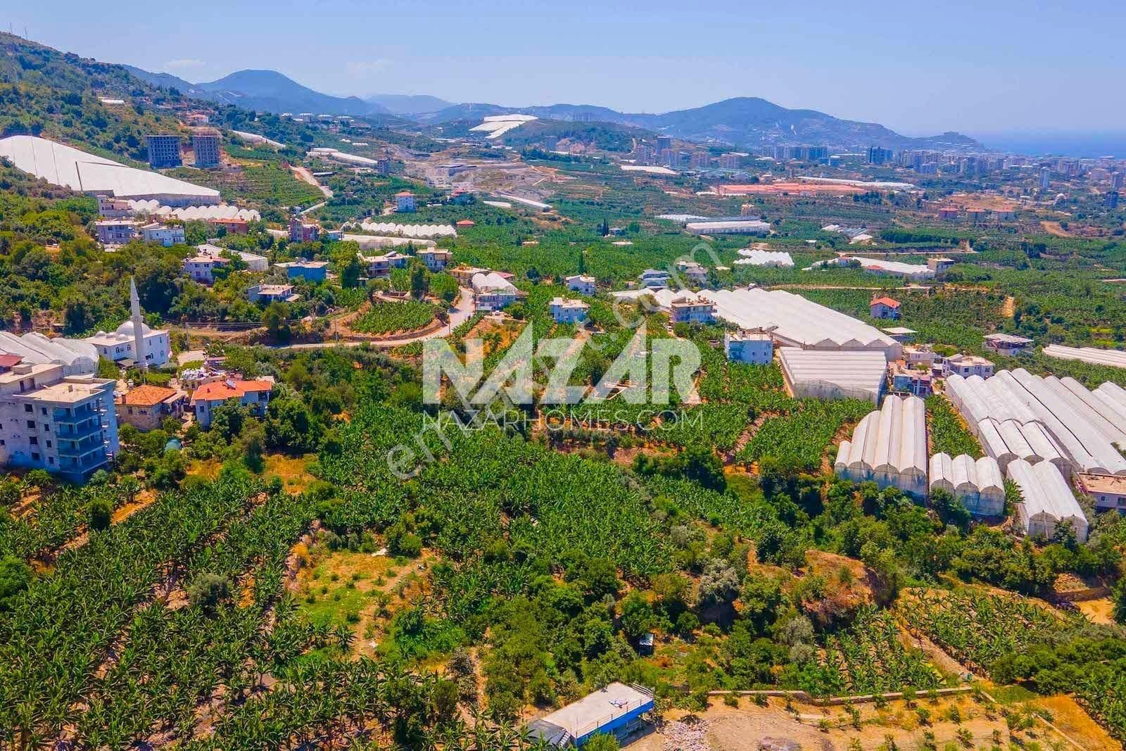 Alanya Kestel Yaylalı'da Satılık 1.405 M2 Avokado Bahçeli Tarla - Görsel 26