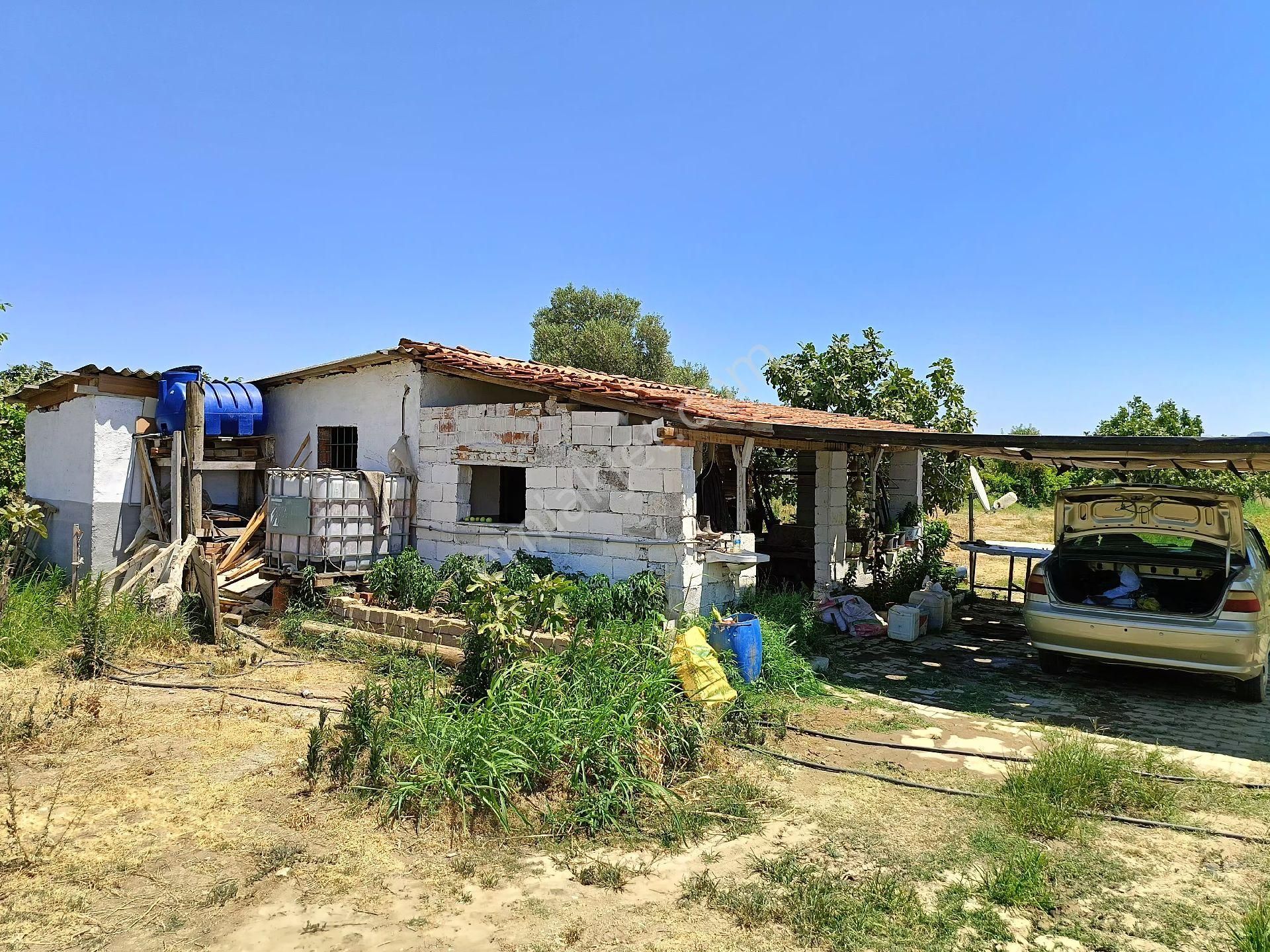 Germencik Hıdırbeyli Satılık Tarla Germekte 3,5 Dönüm Elektrik Su Ev Olan İncir Bahçesı. Kuşadası Daire İle Takasa Uygun