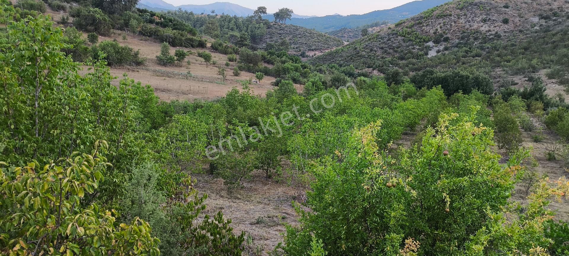 Kumluca Erentepe Satılık Tarla ANTALYA KUMLUCA ERENTEPE DE SATILIK TARLA 