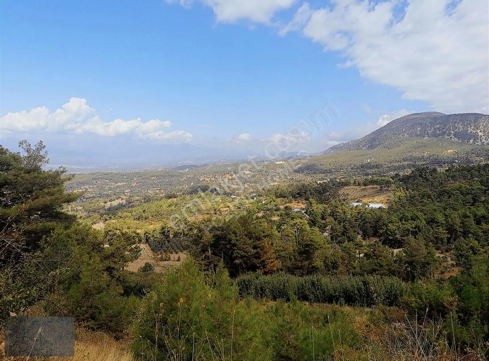 Seydikemer Arsaköy Satılık Tarla Arsakoyde yatirimlik tarla